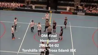DM-final S&ouml;dermanland, Herrjunior