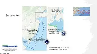 NOAA 'Omics Seminar Series: eDNA-Dominant Marine Fish Species Characterize Coastal Habitats