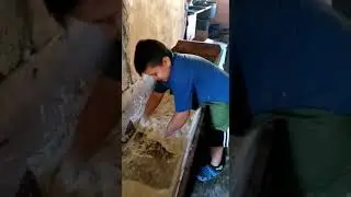 Panaderia Don Facu 