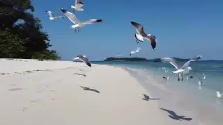 Pantai Ngurtafur: Asal Usul, Ekosistem & Fakta Unik!