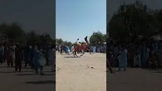 #groth #horse #video #camel #nach #automobile #dubai #unfrezzmyaccount #horseriding #sindhpakistan