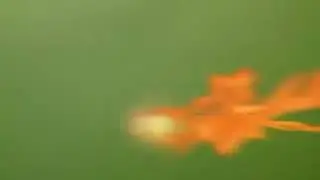 EXPLOSION | GREEN SCREEN FREE ASSET | FIRE BLAST CHROMA KEY + SOUND EFFECT  FREE 🔥