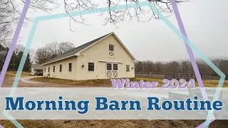 MY MORNING BARN ROUTINE: Feeding the Horses & Barn Chores | Winter 2024 &bull;  EQUESTRIAN VLOG