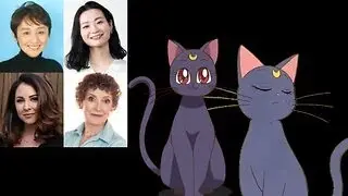 Anime Voice Comparison- Luna (Sailor Moon)