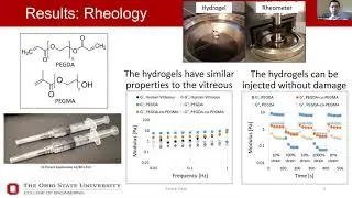 Vitreous Substitute