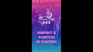 Respect & Position in Ponying