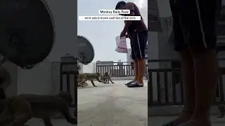 Monkey small help daily &hearts;️✨🙏|| #shortvideo