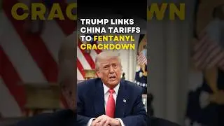 Trump Links China Tariffs to Fentanyl Crackdown | Factual Flow