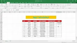 Age Calculation  #msexcel