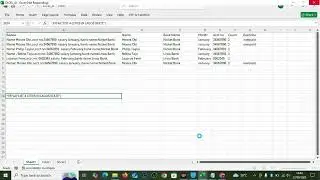 Stop Manual Cleanup: Excel AI Add-in Parses Text, Groups by Name/Acct, Flags Duplicates