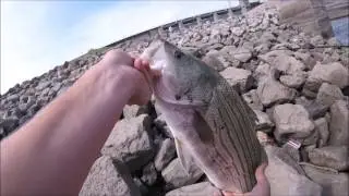 HE CAUGHT A GIANT! EPIC Personal Best!!!!
