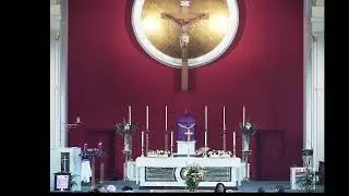 12 noon Mass, Sun 30 November 2025, First Sunday of Advent