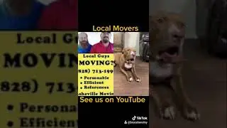Tik Tok Talking dog Asheville moving company marketing