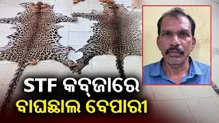 Leopard skin, deer hide seized from Kalahandi district || Kalinga TV