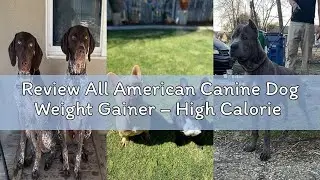 Review All American Canine Dog Weight Gainer &ndash; High Calorie Dog Food Supplement & Protein Powder for
