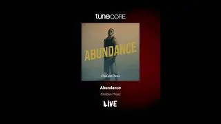 ChaQee Pleez - Abundance (Official Audio)