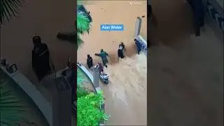 Alen India #memeindia