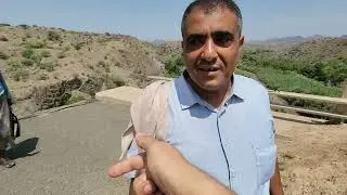 إفتتاح خط كرش ( تعز - عدن ) اليوم - برفقة رئيس لجنة الوساطة