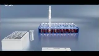 IDL Promo video Oct 2023