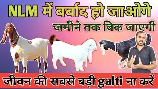 NLM will ruin new goat farmers. Don't make this mistake in goat rearing.