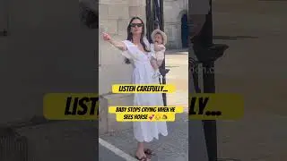 Baby Meets Horse Guard And Stops Crying Immediately #reels #shorts
