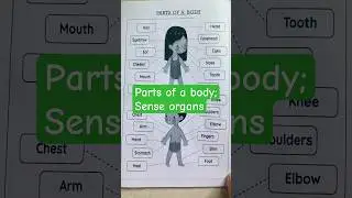 EVS practice worksheet: Parts of a body | Summer break worksheets | #kidsworksheet