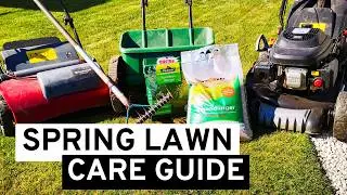 Spring Lawn Care: Essential Steps for a Healthy Lawn