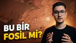 Mars'ta Yaşam Bulundu mu? NASA'nın Mars'taki 