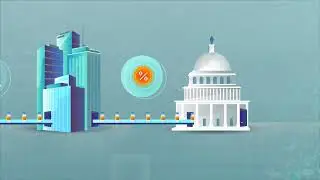 2D educational video   Amnesty International COVID
