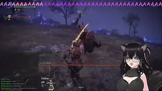 An accurate and correct summary of our Elden Ring : Nightreign experience
