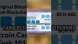 Форки Биткоин Кеш #форкиBCH #bitcoincash #bch #bitcoinSV #eCash