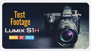 Lumix S1H | Depth Of Field Test #LumixS1H #TestFootage #vijayarmstrong #imageworkshops