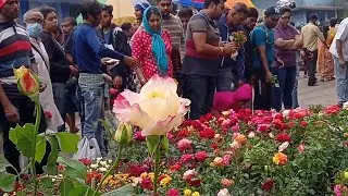 Bagbazar Flower Plants Market Visit | Prices Of Winter Flower Plants