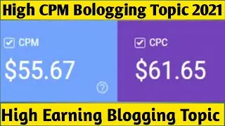 High CPM Blogging Topics In 2021 Best High Earning Blogging Niches Make Money From Blogging In 2021