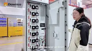 Dawnice 112kWh-BS09-112-D-P Commercial Energy Storage
