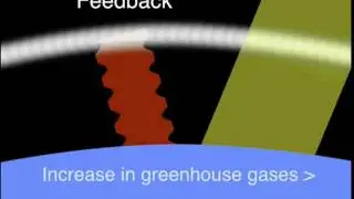 Feedback Model