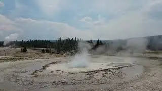 Sawmill Geyser in Yellowstone National Park