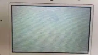 Vgc16 battle