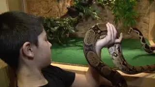 Je vis entouré de serpents et de reptiles