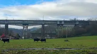 Ormaiztegiko zubi atzean Aizkorti elurtuta ganadua beheko zelaietan larrean