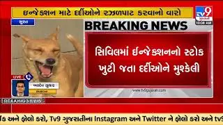 HRIG injection (used in cases of major dog bite) shortage in Surat civil hospital | TV9GujaratiNews