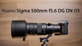 Sigma 500mm f5 6 DG DN