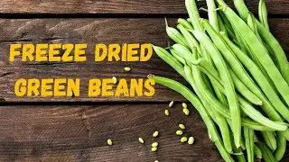Making and using Freeze Dried Canned Green Beans