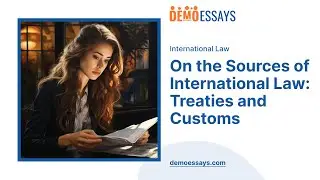 On the Sources of International Law: Treaties and Customs - Essay Example