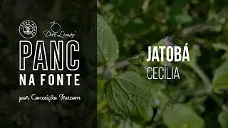 PANC na Fonte - Jatobá