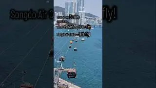 Flying Above Busan! 🇰🇷 Songdo Cable Car Adventure | Glass-Bottom Cabin + Ocean View #southkorea