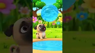 Cute Puppy Water Splash Loop 🐶💦 | Kids Cartoon Short