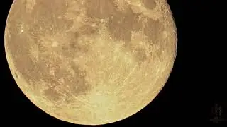 The Harvest Moon | Sony A9 and 200-600mm