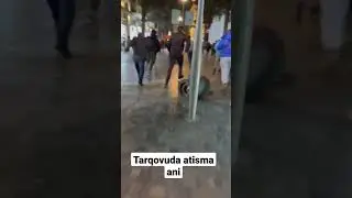 Tarqovuda atisma ani
