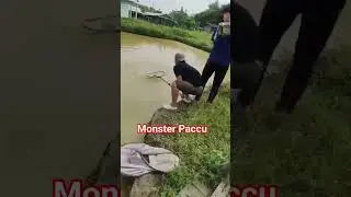 Paccu Fishing